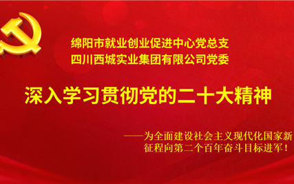 西城集团党委联合绵阳市就业创业促进中心党总支深入学习贯彻党的二十大精神