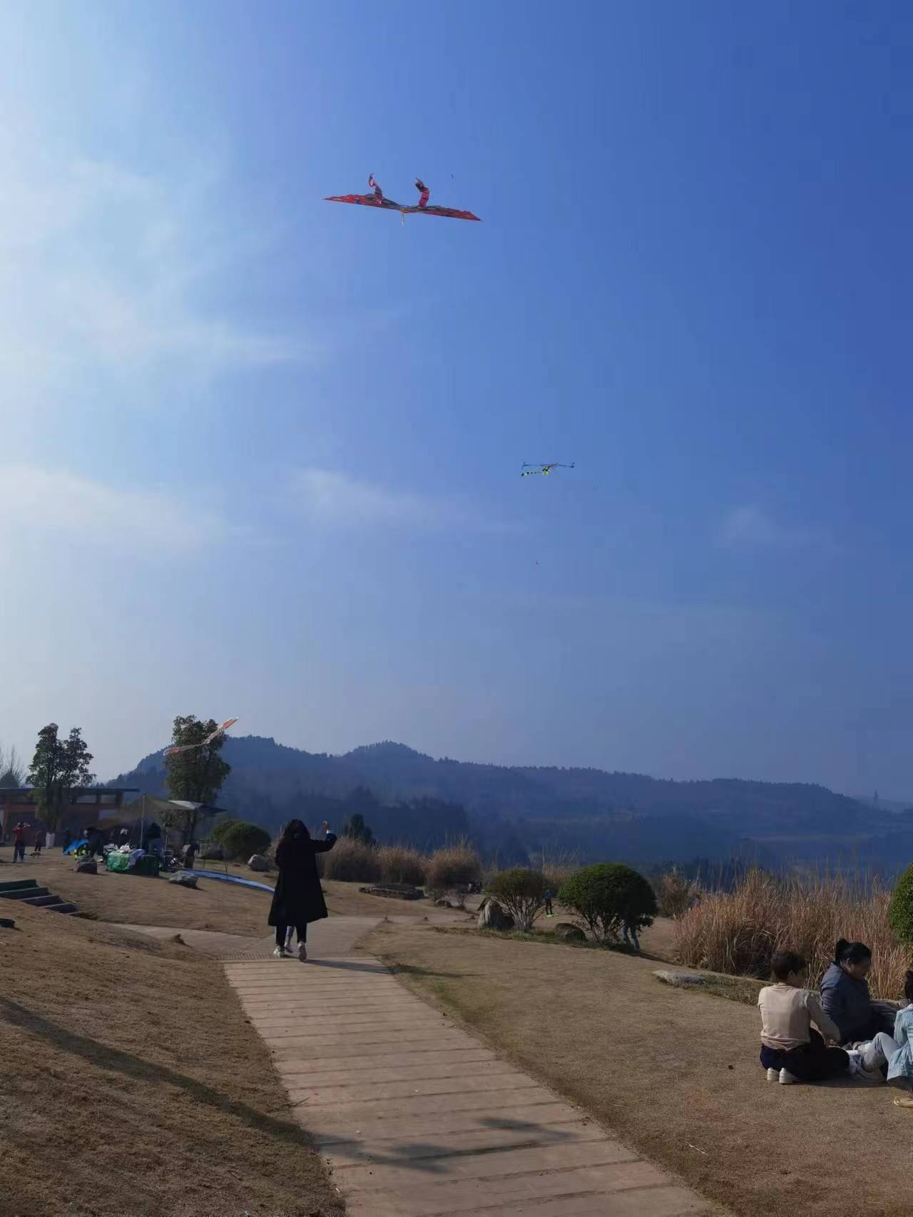 c274ea48015c896874dd62ee77391c2