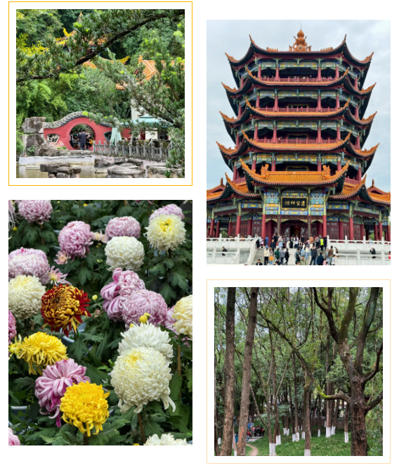 91ce7f9e13463b4c8fddebef2ec3c0f