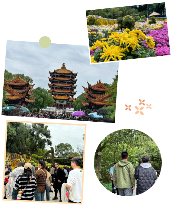 559b75bb4c1ad39853f3ec9d741f80f