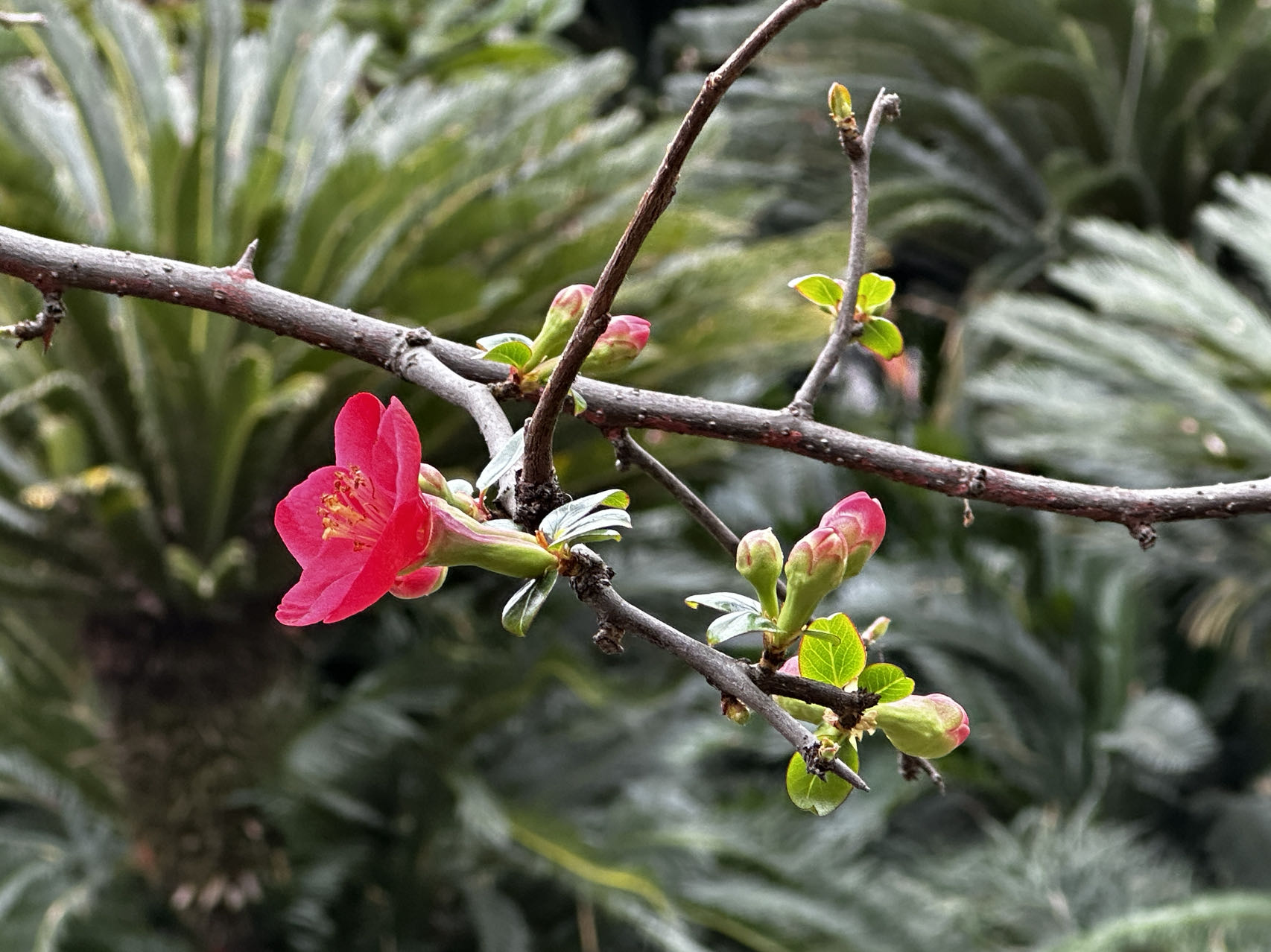 1b3996be7134559421cb25778d7ad72