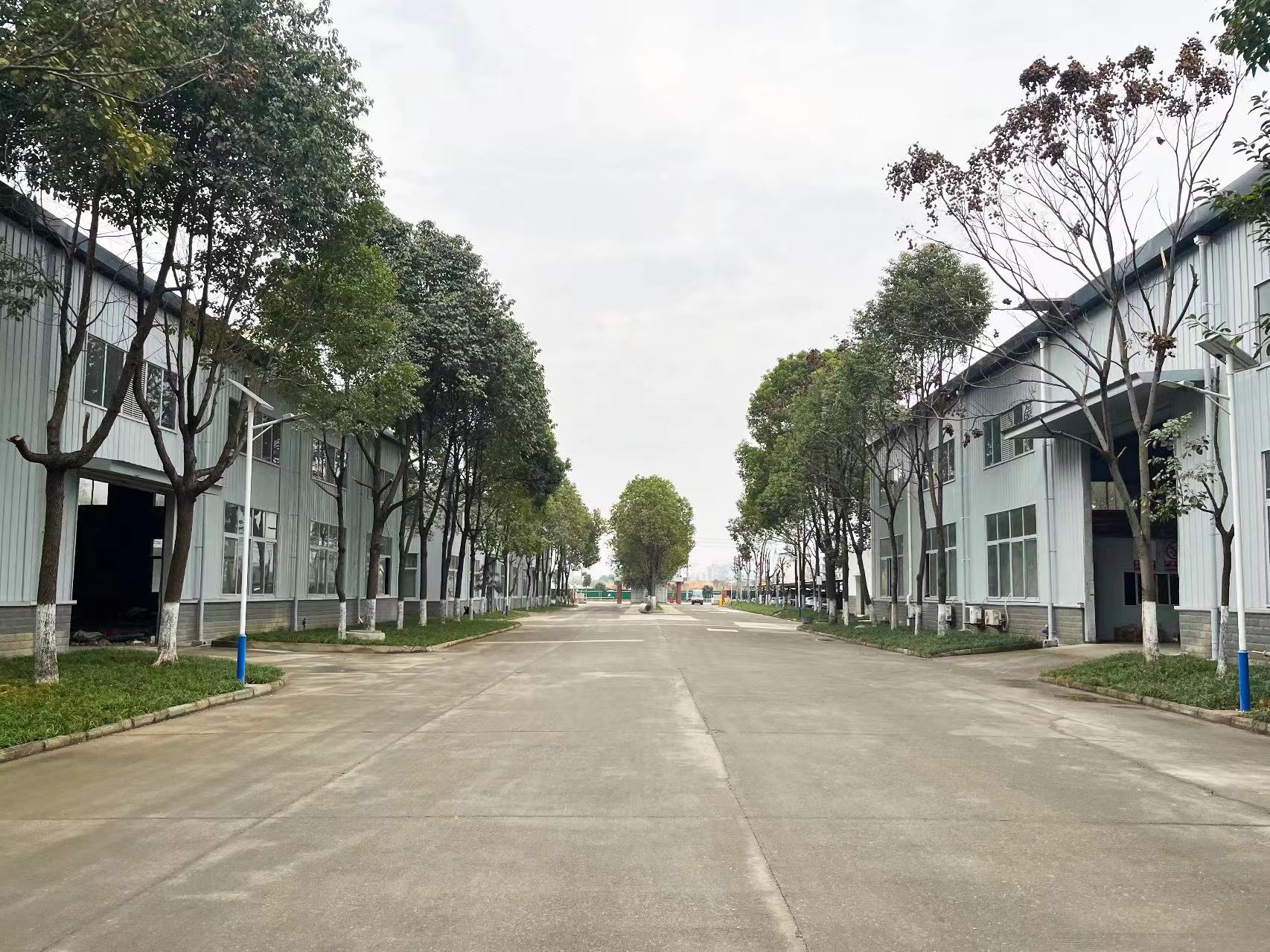 0b1ce3406d2886b254de5436b6667e6 0b1ce3406d2886b254de5436b6667e6