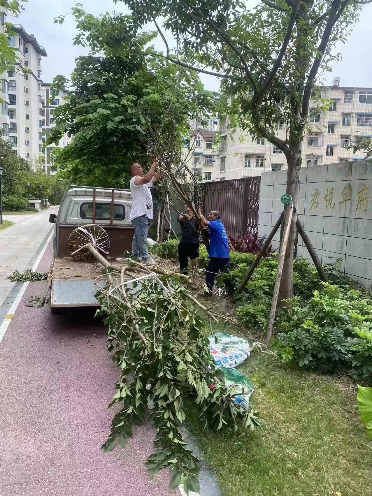 238cb50ab7b154b8af1a3074e6432d8 238cb50ab7b154b8af1a3074e6432d8