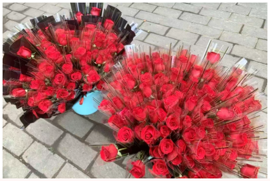 901f22be839e12ef8c9841b2259f56b 901f22be839e12ef8c9841b2259f56b