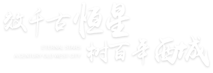 首页banner配置_2