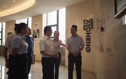 四川省委组织部领导到西城集团督导“两学一做”专项活动